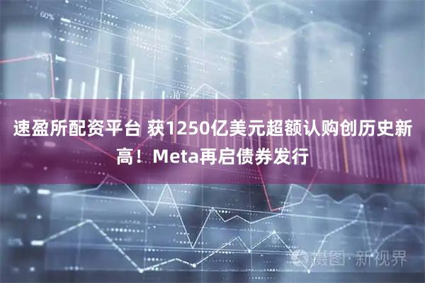 速盈所配资平台 获1250亿美元超额认购创历史新高！Meta再启债券发行