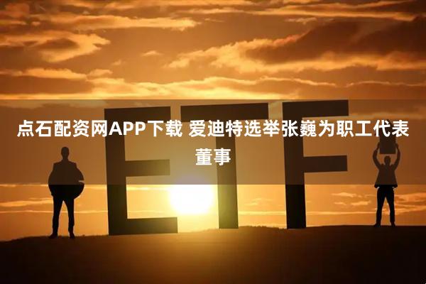 点石配资网APP下载 爱迪特选举张巍为职工代表董事